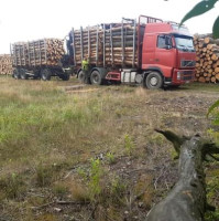 Grzegorz miaskiewicz Geda transport