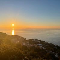 PHU PAWMAX